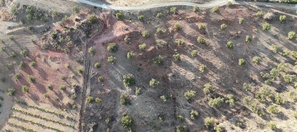 Land in Coin, Spain No. 147029 3