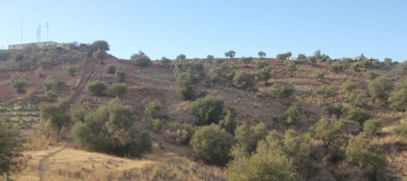 Land in Coin, Spain No. 147029 6