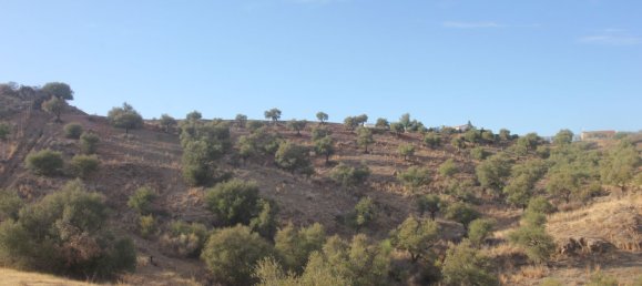 Land in Coin, Spain No. 147029 10