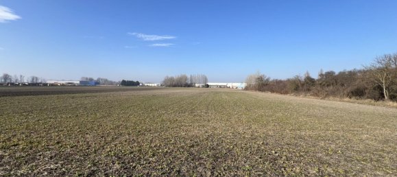  عقار تجاري في Enzersdorf an der Fischa, Austria رقم 197169 3