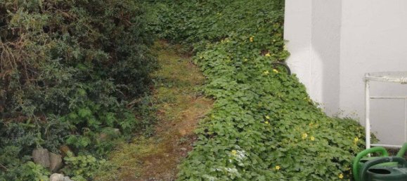 3 غرف نوم فيلا في Rems-Murr-Kreis, Germany رقم 217780 39