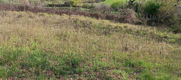 Casa de 3 dormitorios en Rosignano Marittimo, Italy No. 323668 13