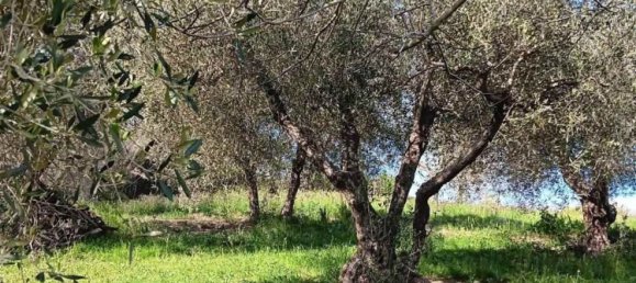 Casa de 3 dormitorios en Rosignano Marittimo, Italy No. 323668 9