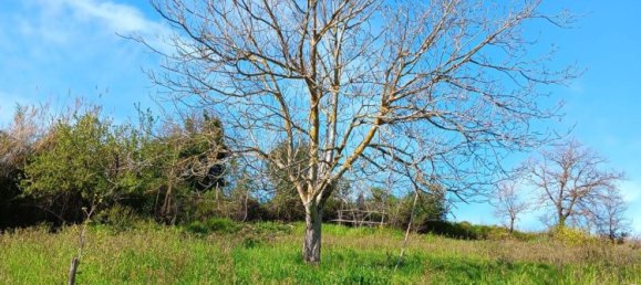 Casa de 3 dormitorios en Rosignano Marittimo, Italy No. 323668 17
