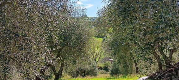 Casa de 3 dormitorios en Rosignano Marittimo, Italy No. 323668 16