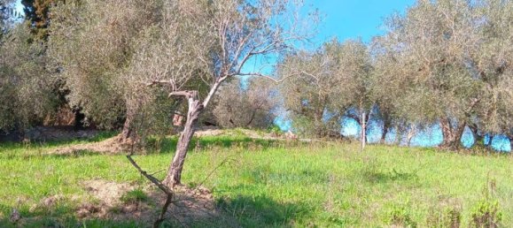 Casa de 3 dormitorios en Rosignano Marittimo, Italy No. 323668 10