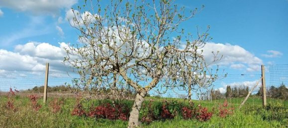 Casa de 3 dormitorios en Rosignano Marittimo, Italy No. 323668 18