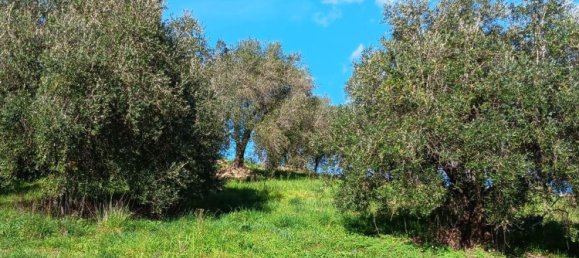 Casa de 3 dormitorios en Rosignano Marittimo, Italy No. 323668 11