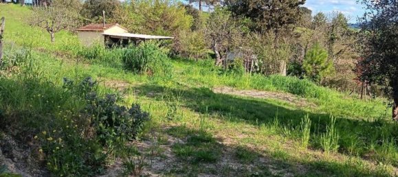 Casa de 3 dormitorios en Rosignano Marittimo, Italy No. 323668 4