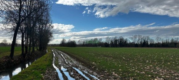 17700m² Land in Martellago, Italy No. 170388 2