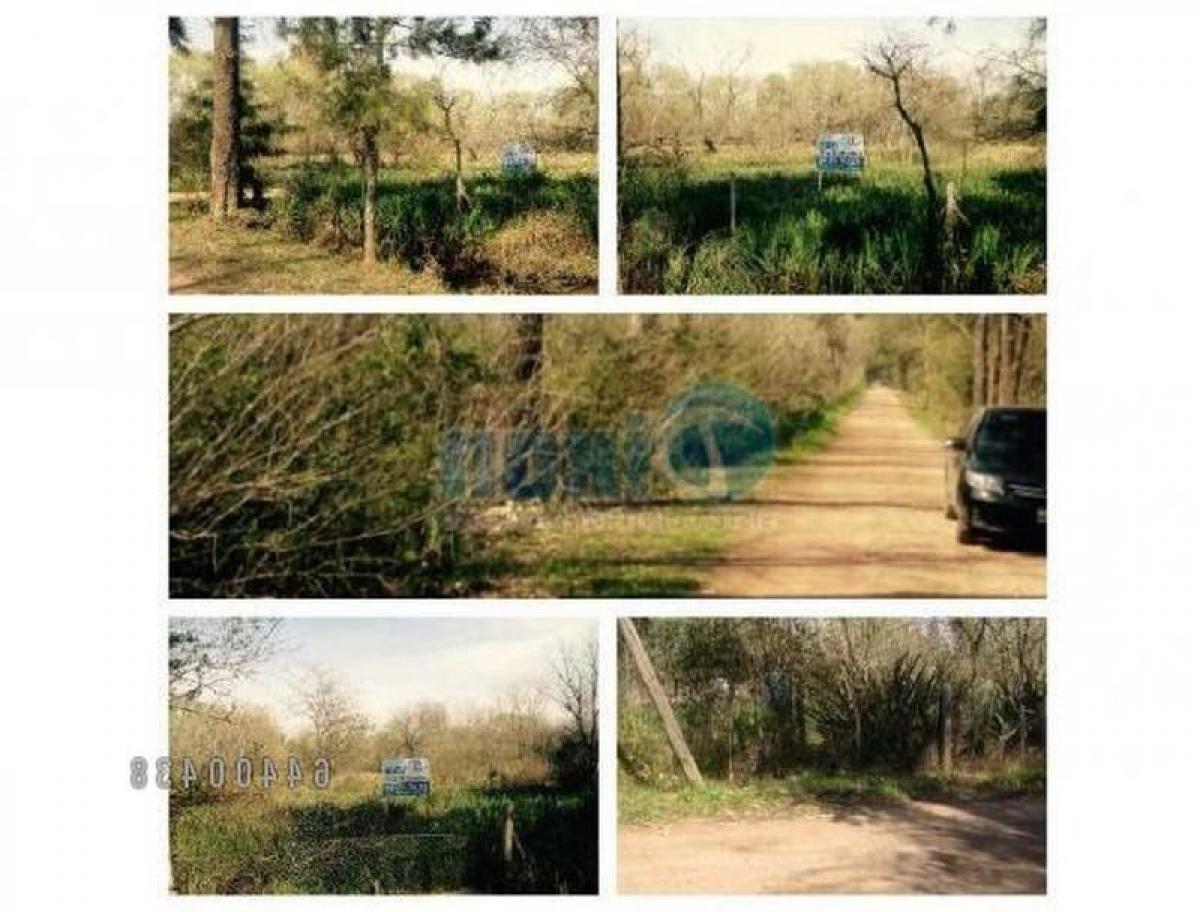  Land in Tigre, Argentina No. 116221