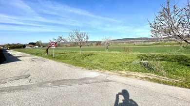  Land in Winden am See, Austria No. 64731