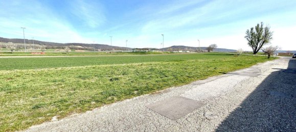  Land in Winden am See, Austria No. 64731 3