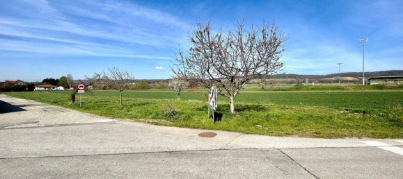  Land in Winden am See, Austria No. 64731 4