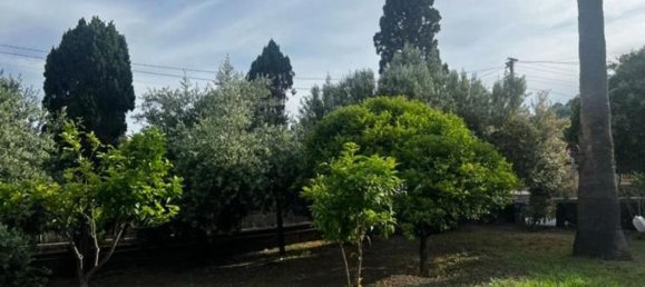 5 غرف نوم منزل في Santa Marina Salina, Italy رقم 322539 22