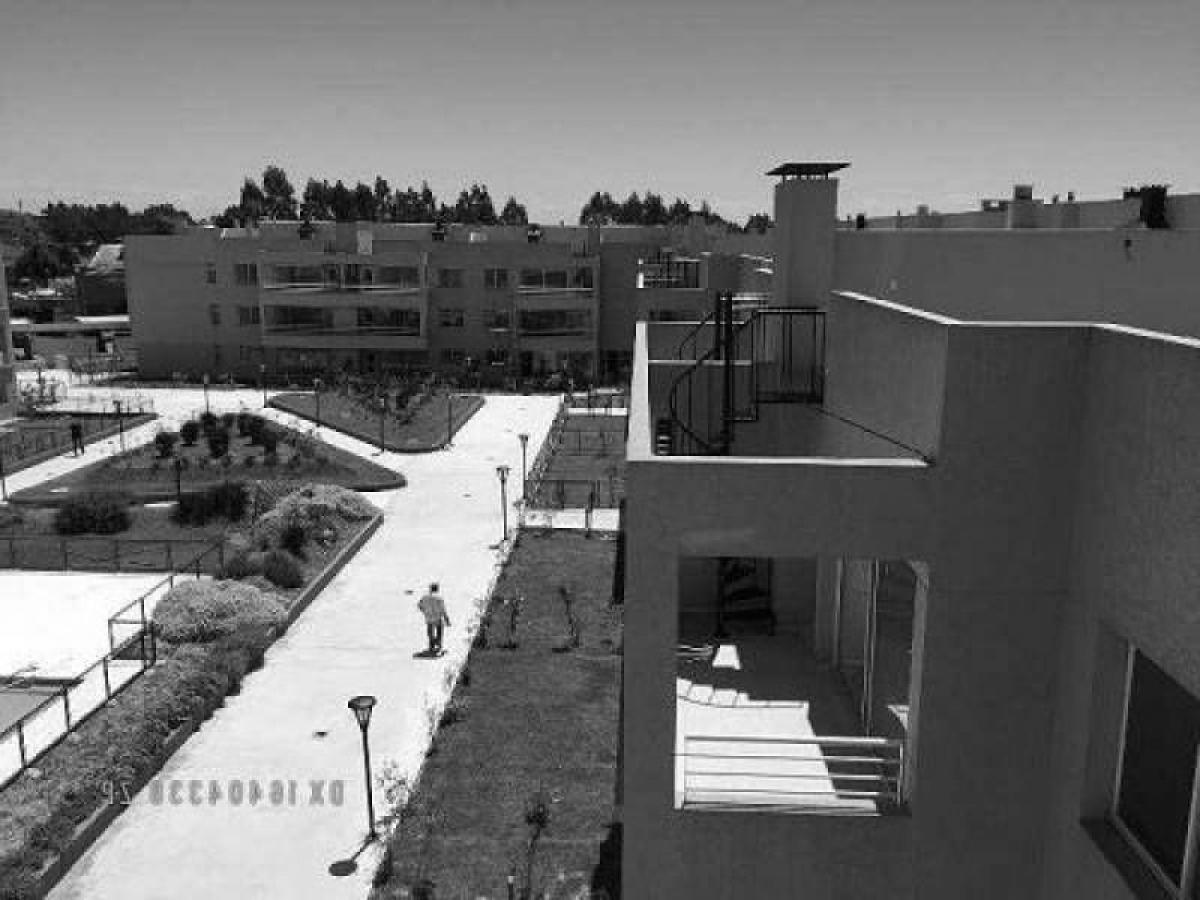 Studio in San Isidro, Argentina No. 61316