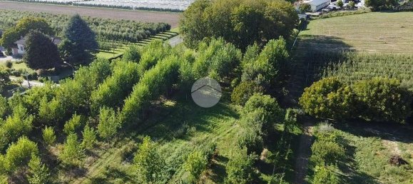 3 bedrooms House in Zevio, Italy No. 168757 15