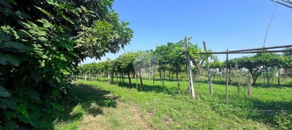 3 bedrooms House in Zevio, Italy No. 168757 13