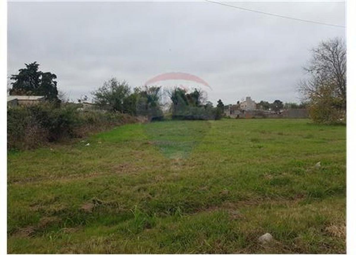  Land in Santa Fe, Argentina No. 45685