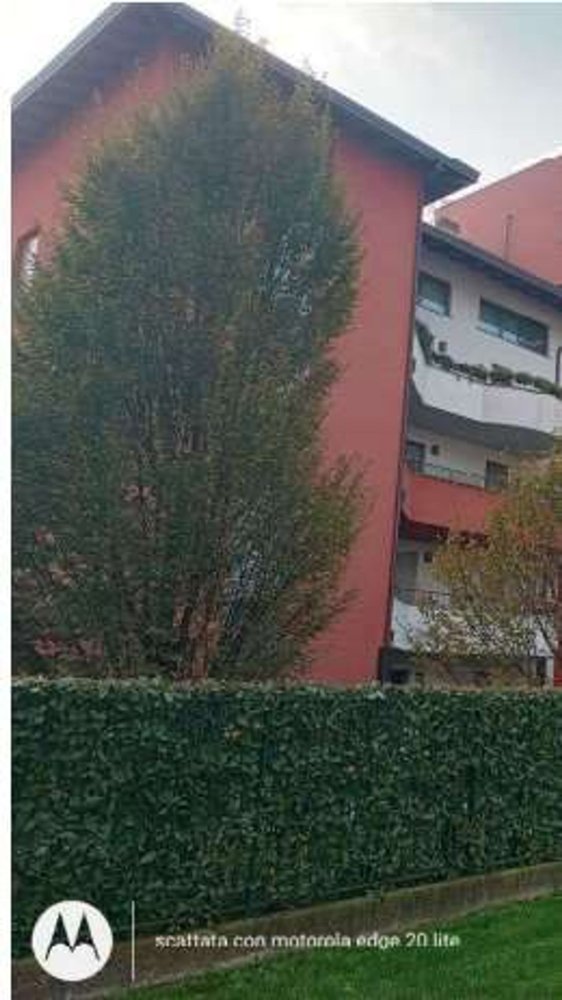 2-salle Appartement à Legnano, Italy No. 305514
