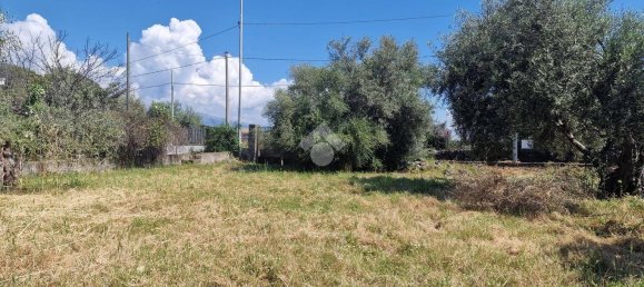 Земельный участок 2050м² в Сан Джованни ла Пунта, Италия № 326412 37