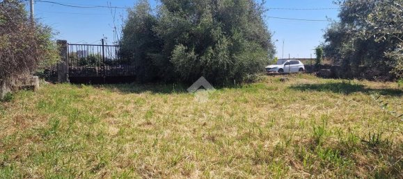 Земельный участок 2050м² в Сан Джованни ла Пунта, Италия № 326412 23