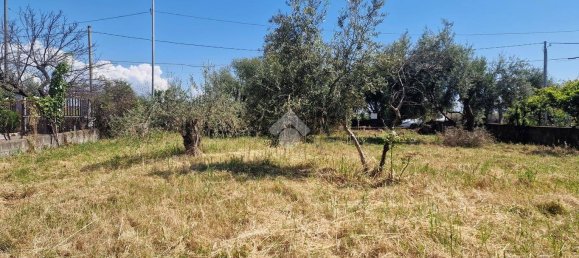 Земельный участок 2050м² в Сан Джованни ла Пунта, Италия № 326412 25