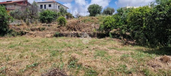 Земельный участок 2050м² в Сан Джованни ла Пунта, Италия № 326412 16