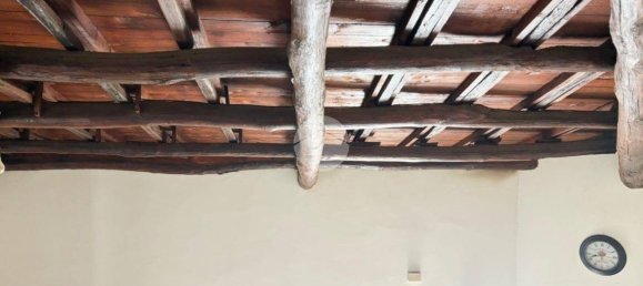 1 chambre Appartement à Gallese, Italy No. 207472 18