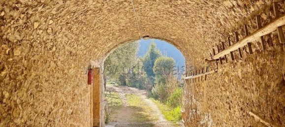 8-Zimmer Haus in Negrar, Italy, Nr. 195375 24