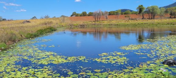 2 غرف نوم منزل في Bauple, Australia رقم 1095 3