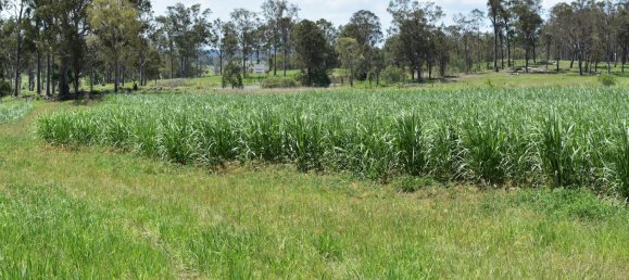 2 غرف نوم منزل في Bauple, Australia رقم 1095 14