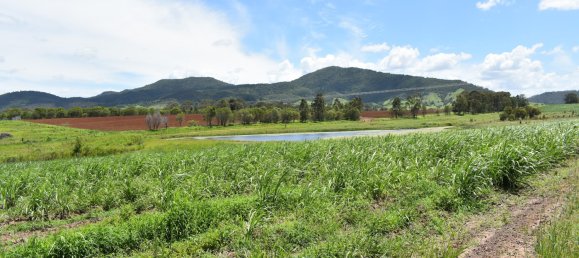 2 غرف نوم منزل في Bauple, Australia رقم 1095 17