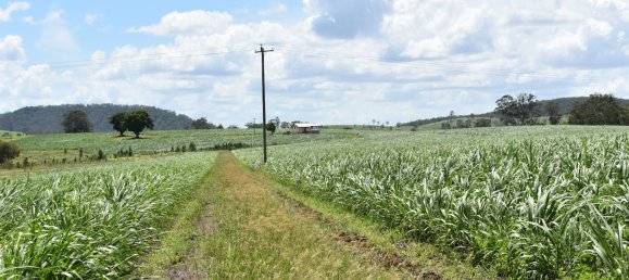 2 غرف نوم منزل في Bauple, Australia رقم 1095 18