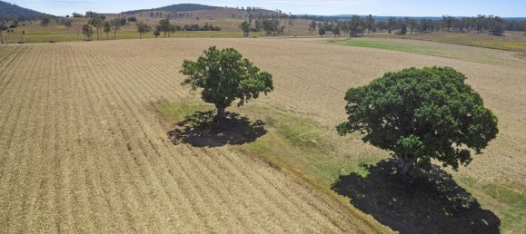 2 غرف نوم منزل في Bauple, Australia رقم 1095 13