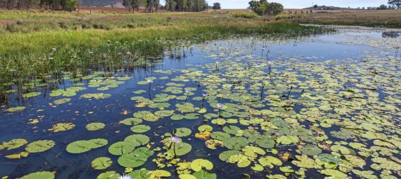 2 غرف نوم منزل في Bauple, Australia رقم 1095 5