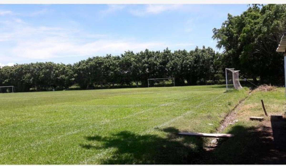  Land in Veracruz, Mexico No. 204417