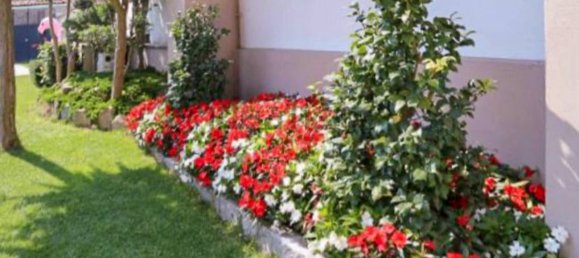 5 bedrooms House in Zimone, Italy No. 160312 14