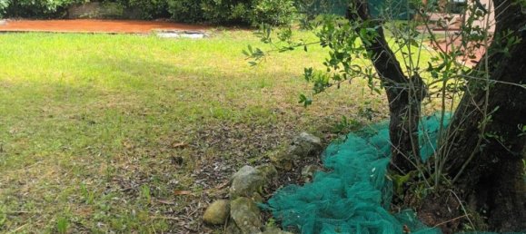 3 bedrooms House in Carrara, Italy No. 45846 5