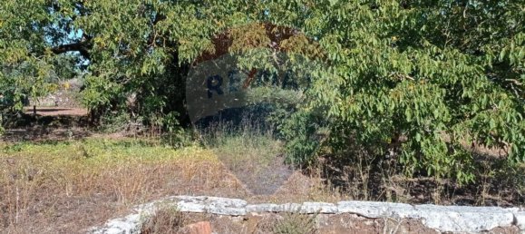 Casa de 2 dormitorios en Ansiao, Portugal No. 27630 13