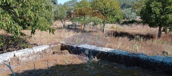 Casa de 2 dormitorios en Ansiao, Portugal No. 27630 11