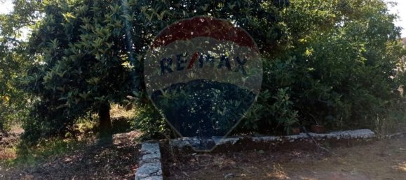 Casa de 2 dormitorios en Ansiao, Portugal No. 27630 2