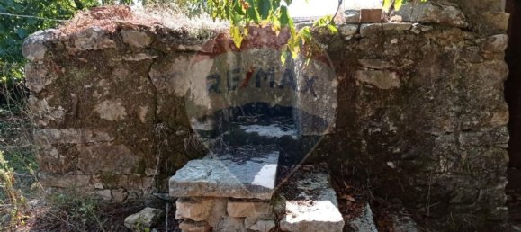 Casa de 2 dormitorios en Ansiao, Portugal No. 27630 6