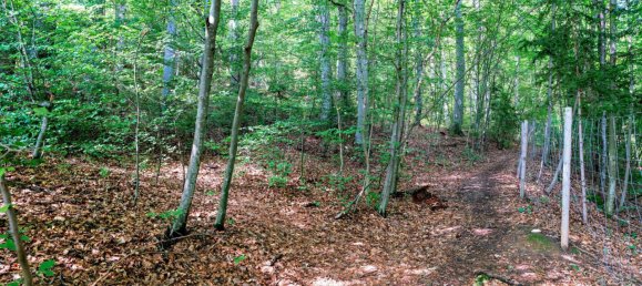 Terreno em Stattegg, Austria N.º 86122 11