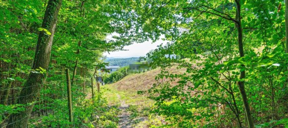 Terreno em Stattegg, Austria N.º 86122 13