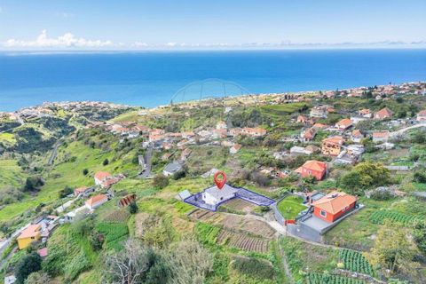 3 chambres Maison à Calheta, Portugal No. 249098