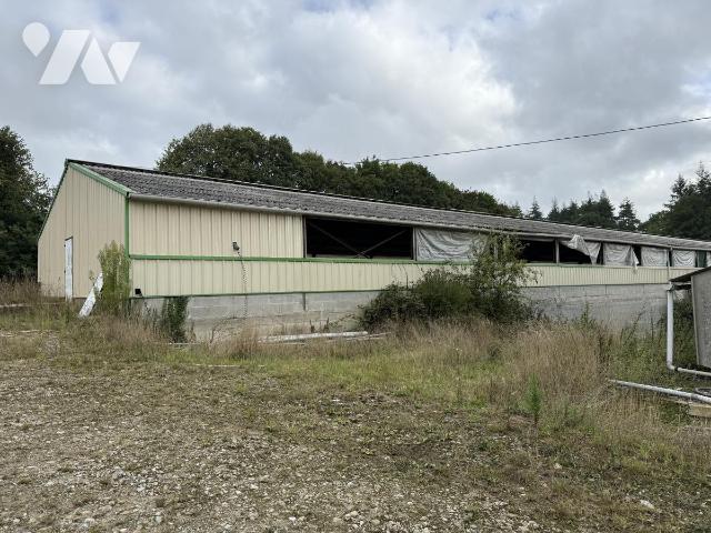 Lagerhaus in Cotes-d'Armor, France, Nr. 335556