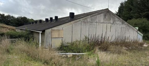 Lagerhaus in Cotes-d'Armor, France, Nr. 335556 2