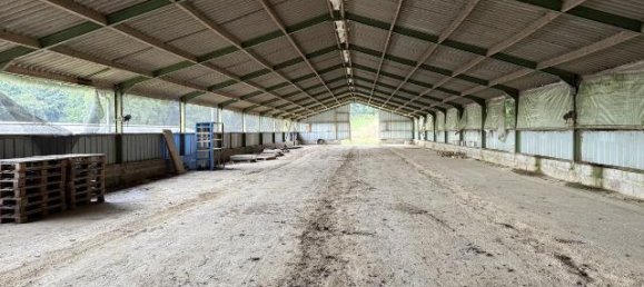 Lagerhaus in Cotes-d'Armor, France, Nr. 335556 4