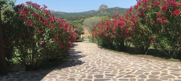 5-Zimmer Villa in Olbia, Italy, Nr. 112872 8